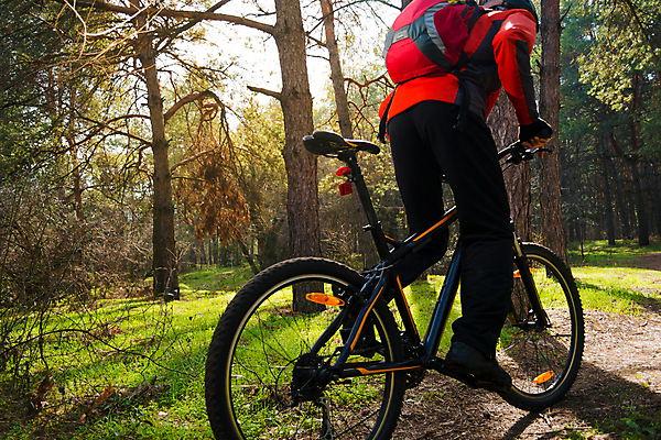 포토 JPG 해외이미지 라이프스타일 남자 여행 산 한명 안전 성인 야외 태양 자전거 승차 숲 헬멧 라이더 선로 성인남자한명만 해외202004 해외포토 자연요소 1 모션 사람 생활 바이크 보호장비 남자한명만 성인남자만 파일형식 이미지허브