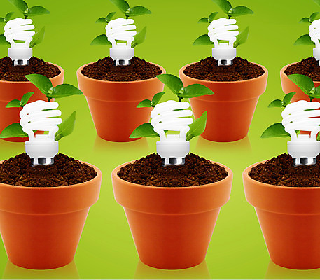 포토 JPG 해외이미지 식물 컨셉 잎 전구 상상 아이디어 사람없음 초록색 빛 글로벌 환경 힘 활발 재활용 에너지 신선 최고 스마트 비전 해결 내추럴 마케팅 바이오 발명 생태학 지능 효율 공급 해외202004 해외포토 교육 컬러 친환경 파일형식 이미지허브