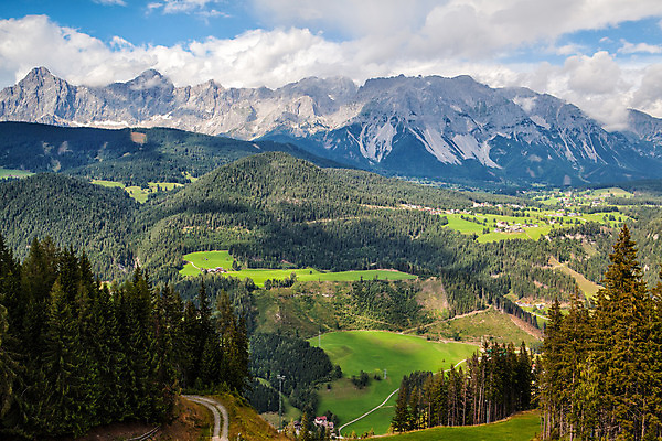 포토 JPG 해외이미지 나무 동물 구름 유럽 산업 여행 밭 농업 자연 산 풍경 사람없음 울타리 농장 일출 일몰 소고기 우유 안개 오스트리아 군중 세련 해외202004 해외포토 자연요소 식물 나라 날씨 유제품 육류 사람 담장 노을 생태계 파일형식 이미지허브