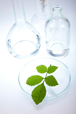 포토 JPG 해외이미지 식물 실내 실험 사람없음 화학 실험실 플라스크 흰배경 비커 화학실험 샬레 해외202004 해외포토 과학 백그라운드 실험기구 내부 흰색 파일형식 이미지허브