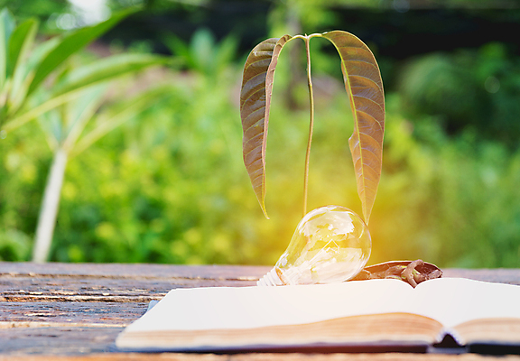 포토 JPG 해외이미지 응시 교육 종이 컨셉 전구 유리 아이디어 사람없음 책 빛 스터디 다이어리 쪽지 정보 흰색 오픈 도서관 읽기 오브젝트 검색 대학교 문학 광 넘어짐 발명 이해 필라멘트 해외202004 해외포토 시선 컬러 학교 모션 재질 학습 사무용품 파일형식 이미지허브