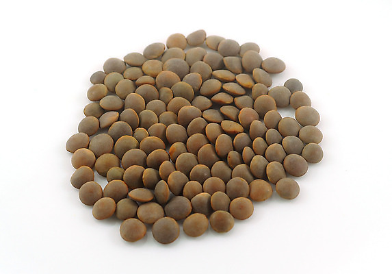 포토 JPG 해외이미지 식물 음식 재료 건강 씨앗 사람없음 갈색 맥박 낟알 단백질 채식주의자 해외202004 해외포토 컬러 의학 채식 영양소 파일형식 이미지허브