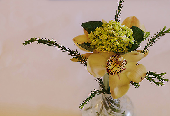 포토 JPG 해외이미지 식물 꽃 선 꽃다발 결혼 꽃무늬 자연 유리 건강 사람없음 빨간색 초록색 침묵 흰색 신선 난초 고급 우아함 해외202004 해외포토 컬러 컨셉 무늬 재질 이벤트 소리 생태계 파일형식 이미지허브