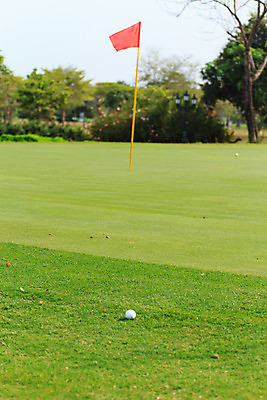 포토 JPG 해외이미지 나무 식물 직업 라이프스타일 스포츠 백그라운드 밭 골프 공 자연 놀이 휴가 풍경 잔디 사람없음 야외 초록색 여름 운동 태양 일몰 경쟁 장비 게임 흰색 골퍼 닫기 강의 오브젝트 클럽 슛 내추럴 골프티 해외202004 해외포토 자연요소 계절 컬러 컨셉 농업 모션 운동선수 골프용품 건강 생활 구기 노을 생태계 파일형식 이미지허브