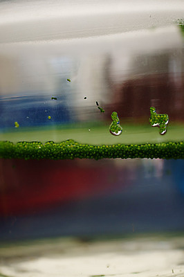 포토 JPG 해외이미지 식물 자연 유리 사람없음 옆모습 컵 물 컬러풀 수면 닫기 컨테이너 해외202004 해외포토 멸종위기종 자연요소 식기 산업 뷰포인트 컬러 모션 재질 생태계 파일형식 이미지허브