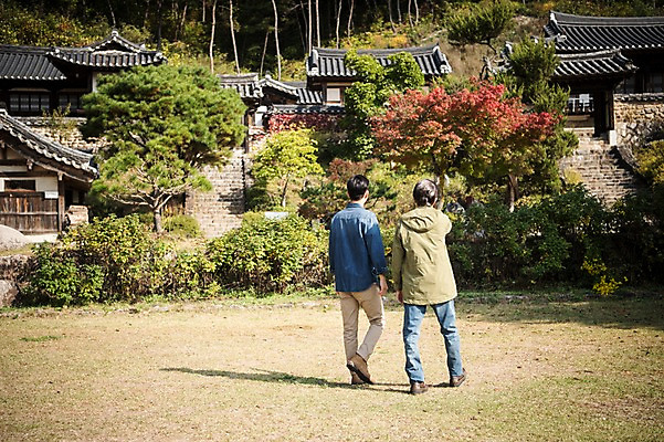 포토 JPG 주간 전신 나무 노년 남자 아들 여행 가족 한옥 잔디 성인 야외 두명 뒷모습 30대 걷기 한국인 가을 아빠 60대 안동 부자지간 성인남자만 군자마을 국내포토 자연요소 식물 한국전통 계절 뷰포인트 고건축 관계 모션 사람 동양인 장년 마을 경상북도 남자만 성인만 파일형식