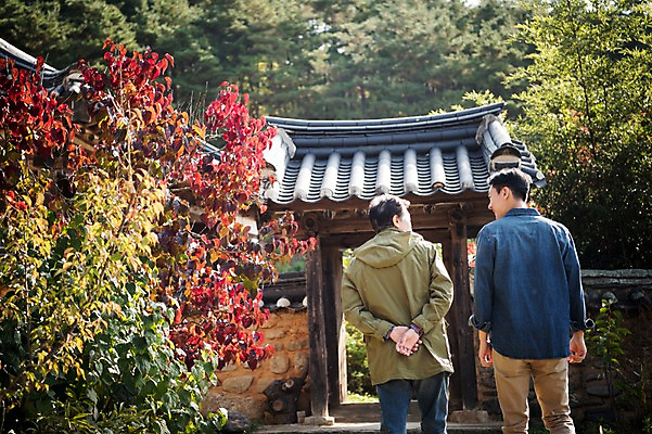 포토 JPG 주간 나무 노년 남자 아들 여행 가족 한옥 상반신 성인 야외 두명 뒷모습 30대 걷기 산책 한국인 가을 아빠 60대 안동 부자지간 성인남자만 군자마을 국내포토 자연요소 식물 한국전통 계절 뷰포인트 고건축 관계 모션 휴식 사람 동양인 장년 마을 경상북도 남자만 성인만 파일형식