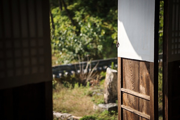 포토 JPG 주간 나무 사람없음 야외 아웃포커스 문 가을 안동 군자마을 국내포토 자연요소 식물 계절 촬영기법 마을 경상북도 파일형식