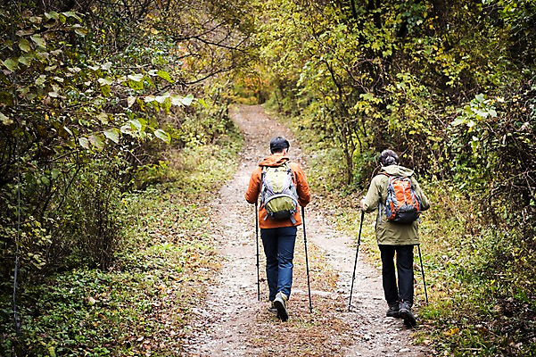 포토 JPG 주간 전신 나무 노년 남자 아들 여행 단풍 가족 산 성인 야외 두명 뒷모습 30대 걷기 등산 한국인 가을 아빠 60대 숲 등산복 산행 안동 부자지간 성인남자만 청량산 국내포토 자연요소 식물 옷 계절 뷰포인트 잎 관계 모션 사람 동양인 장년 트래킹 경상북도 남자만 성인만 파일형식