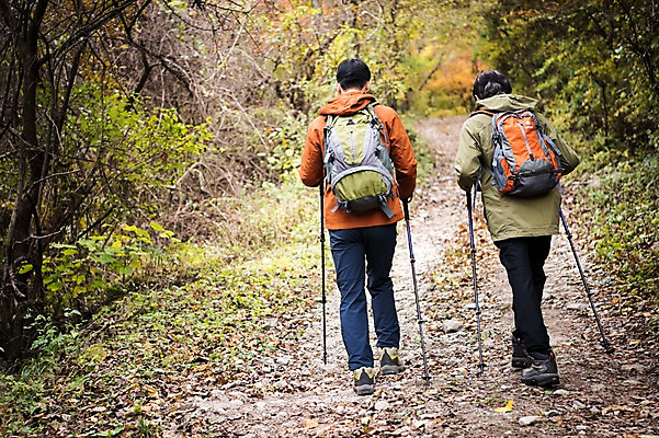 포토 JPG 주간 전신 나무 노년 남자 아들 여행 단풍 가족 산 성인 야외 두명 뒷모습 30대 걷기 등산 한국인 가을 아빠 60대 숲 등산복 산행 안동 부자지간 성인남자만 청량산 국내포토 자연요소 식물 옷 계절 뷰포인트 잎 관계 모션 사람 동양인 장년 트래킹 경상북도 남자만 성인만 파일형식