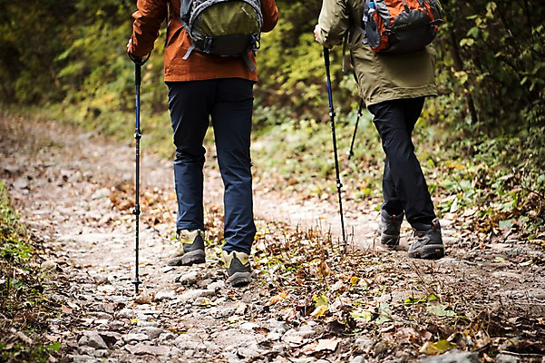 포토 JPG 주간 나무 노년 남자 아들 여행 단풍 가족 산 성인 야외 두명 뒷모습 신체부위 30대 걷기 등산 한국인 하반신 가을 다리 아빠 60대 등산복 산행 안동 부자지간 성인남자만 청량산 국내포토 자연요소 식물 옷 계절 뷰포인트 잎 관계 모션 사람 동양인 장년 트래킹 경상북도 남자만 성인만 파일형식