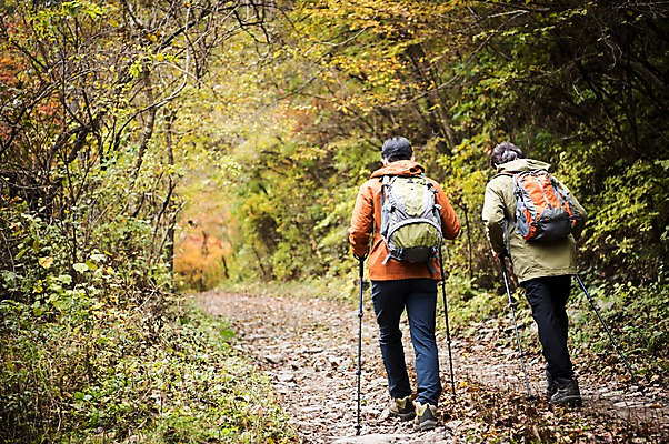 포토 JPG 주간 전신 나무 노년 남자 아들 여행 단풍 가족 산 성인 야외 두명 뒷모습 30대 걷기 등산 한국인 가을 아빠 60대 숲 등산복 산행 안동 부자지간 성인남자만 청량산 국내포토 자연요소 식물 옷 계절 뷰포인트 잎 관계 모션 사람 동양인 장년 트래킹 경상북도 남자만 성인만 파일형식