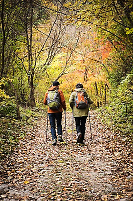 포토 JPG 주간 전신 나무 노년 남자 아들 여행 단풍 가족 산 성인 야외 두명 뒷모습 30대 걷기 등산 한국인 가을 아빠 60대 숲 등산복 산행 안동 부자지간 성인남자만 청량산 국내포토 자연요소 식물 옷 계절 뷰포인트 잎 관계 모션 사람 동양인 장년 트래킹 경상북도 남자만 성인만 파일형식
