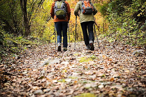 포토 JPG 주간 나무 노년 남자 아들 여행 단풍 가족 산 성인 야외 두명 뒷모습 30대 걷기 등산 한국인 하반신 가을 아빠 60대 숲 등산복 오르기 산행 안동 부자지간 성인남자만 청량산 국내포토 자연요소 식물 옷 계절 뷰포인트 잎 관계 모션 사람 동양인 장년 트래킹 경상북도 남자만 성인만 파일형식