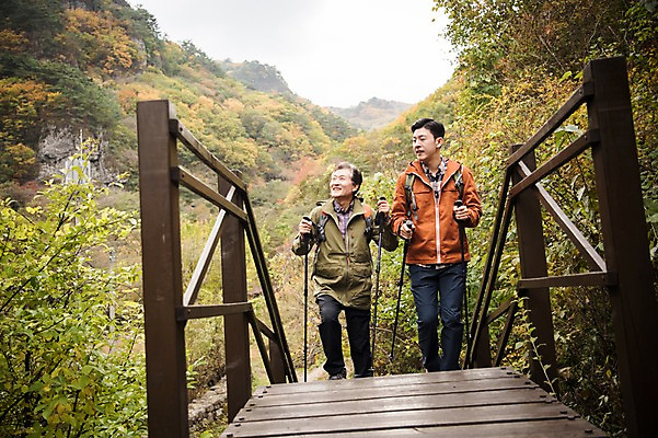 포토 JPG 주간 전신 나무 응시 노년 남자 아들 여행 단풍 가족 산 미소 성인 야외 두명 앞모습 30대 걷기 등산 한국인 가을 아빠 60대 등산복 산행 안동 부자지간 성인남자만 청량산 국내포토 자연요소 식물 시선 옷 계절 뷰포인트 잎 관계 모션 표정 사람 동양인 장년 트래킹 경상북도 남자만 성인만 파일형식