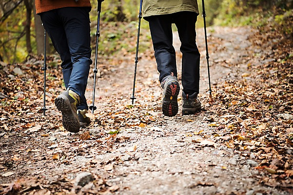 포토 JPG 주간 나무 노년 남자 아들 여행 단풍 가족 산 성인 야외 두명 뒷모습 신체부위 30대 걷기 등산 한국인 하반신 가을 다리 아빠 60대 등산복 산행 안동 부자지간 성인남자만 청량산 국내포토 자연요소 식물 옷 계절 뷰포인트 잎 관계 모션 사람 동양인 장년 트래킹 경상북도 남자만 성인만 파일형식