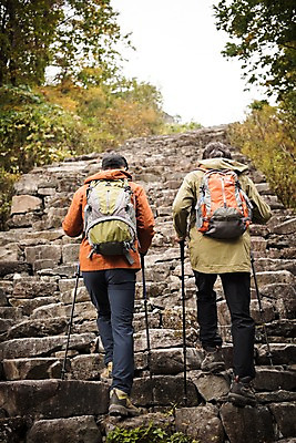 포토 JPG 주간 전신 나무 노년 남자 아들 여행 단풍 가족 산 성인 야외 두명 뒷모습 30대 걷기 계단 등산 한국인 가을 아빠 60대 등산복 오르기 산행 안동 부자지간 성인남자만 청량산 국내포토 자연요소 식물 옷 계절 뷰포인트 잎 관계 모션 사람 동양인 장년 트래킹 경상북도 남자만 성인만 파일형식
