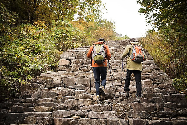 포토 JPG 주간 전신 나무 노년 남자 아들 여행 단풍 가족 산 성인 야외 두명 뒷모습 30대 걷기 계단 등산 한국인 가을 아빠 60대 등산복 오르기 산행 안동 부자지간 성인남자만 청량산 국내포토 자연요소 식물 옷 계절 뷰포인트 잎 관계 모션 사람 동양인 장년 트래킹 경상북도 남자만 성인만 파일형식