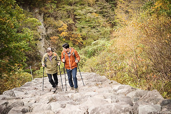 포토 JPG 주간 전신 나무 응시 노년 남자 아들 여행 단풍 가족 산 성인 야외 두명 앞모습 30대 걷기 계단 등산 한국인 가을 아빠 60대 등산복 오르기 산행 안동 부자지간 성인남자만 청량산 국내포토 자연요소 식물 시선 옷 계절 뷰포인트 잎 관계 모션 사람 동양인 장년 트래킹 경상북도 남자만 성인만 파일형식