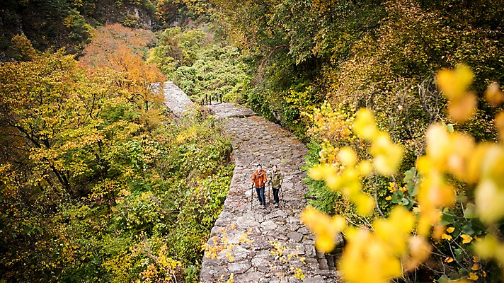 포토 JPG 주간 전신 나무 노년 남자 아들 여행 단풍 가족 산 성인 야외 두명 앞모습 아웃포커스 30대 하이앵글 걷기 등산 한국인 올려보기 가을 아빠 60대 등산복 산행 안동 부자지간 성인남자만 청량산 국내포토 자연요소 식물 옷 계절 뷰포인트 잎 관계 모션 촬영기법 사람 동양인 장년 트래킹 경상북도 남자만 성인만 파일형식