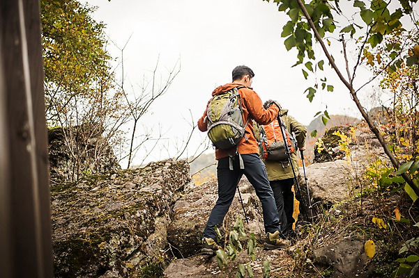 포토 JPG 주간 전신 나무 노년 남자 아들 여행 단풍 가족 산 성인 야외 두명 뒷모습 30대 걷기 등산 한국인 가을 아빠 60대 숲 등산복 오르기 산행 안동 부자지간 성인남자만 청량산 국내포토 자연요소 식물 옷 계절 뷰포인트 잎 관계 모션 사람 동양인 장년 트래킹 경상북도 남자만 성인만 파일형식
