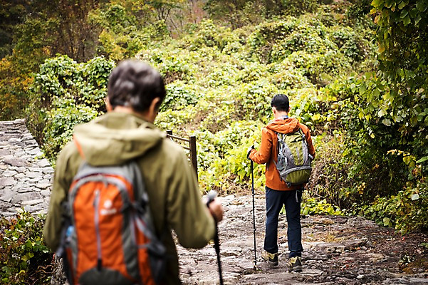 포토 JPG 주간 전신 나무 노년 남자 아들 여행 단풍 가족 산 상반신 성인 야외 두명 뒷모습 아웃포커스 30대 걷기 등산 한국인 가을 아빠 60대 숲 등산복 산행 안동 부자지간 성인남자만 청량산 국내포토 자연요소 식물 옷 계절 뷰포인트 잎 관계 모션 촬영기법 사람 동양인 장년 트래킹 경상북도 남자만 성인만 파일형식