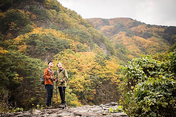 포토 JPG 주간 전신 나무 응시 노년 남자 아들 여행 단풍 가족 산 서기 미소 성인 야외 두명 옆모습 30대 등산 한국인 올려보기 가을 아빠 60대 등산복 산행 안동 부자지간 성인남자만 청량산 국내포토 자연요소 식물 시선 옷 계절 뷰포인트 잎 관계 모션 표정 사람 동양인 장년 트래킹 경상북도 남자만 성인만 파일형식