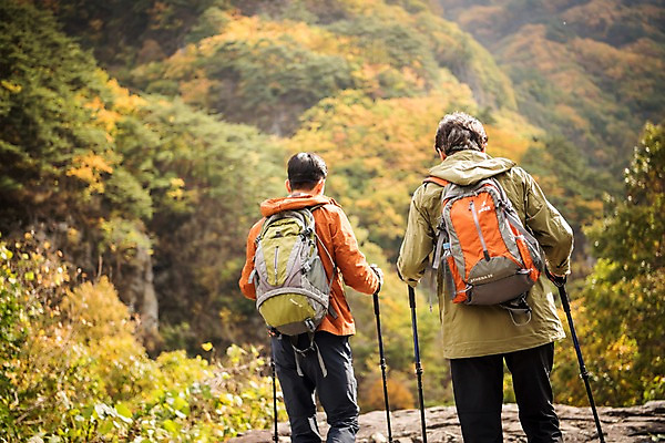 포토 JPG 주간 나무 노년 남자 아들 여행 단풍 가족 산 상반신 성인 야외 두명 뒷모습 아웃포커스 30대 걷기 등산 한국인 가을 아빠 60대 등산복 산행 안동 부자지간 성인남자만 청량산 국내포토 자연요소 식물 옷 계절 뷰포인트 잎 관계 모션 촬영기법 사람 동양인 장년 트래킹 경상북도 남자만 성인만 파일형식