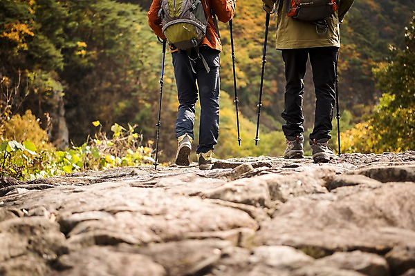 포토 JPG 주간 나무 노년 남자 아들 여행 단풍 가족 산 성인 야외 두명 뒷모습 신체부위 30대 걷기 등산 한국인 하반신 가을 다리 아빠 60대 등산복 산행 안동 부자지간 성인남자만 청량산 국내포토 자연요소 식물 옷 계절 뷰포인트 잎 관계 모션 사람 동양인 장년 트래킹 경상북도 남자만 성인만 파일형식