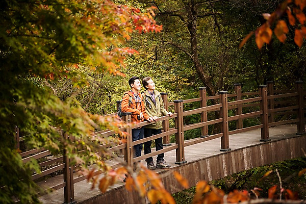 포토 JPG 주간 전신 나무 응시 노년 남자 아들 여유 여행 단풍 가족 산 서기 미소 성인 야외 두명 옆모습 30대 기댐 등산 한국인 올려보기 가을 아빠 60대 등산복 산행 안동 가교 부자지간 성인남자만 청량산 국내포토 자연요소 식물 건축물 시선 옷 계절 감정 뷰포인트 잎 관계 모션 표정 사람 동양인 장년 트래킹 경상북도 남자만 성인만 파일형식