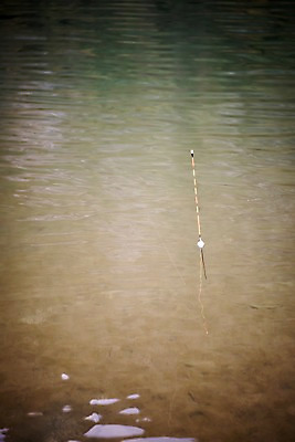 포토 JPG 주간 낚시 사람없음 야외 아웃포커스 강 가을 낚시찌 낙동강 안동 국내포토 자연요소 계절 레저 촬영기법 낚시용품 경상북도 파일형식 구미