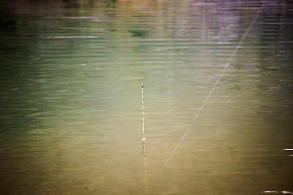 포토 JPG 주간 낚시 사람없음 야외 아웃포커스 강 가을 낚시찌 낙동강 안동 국내포토 자연요소 계절 레저 촬영기법 낚시용품 경상북도 파일형식 구미