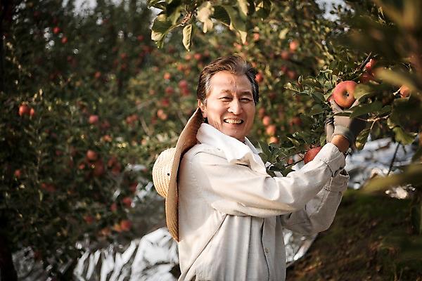 포토 JPG 주간 나무 노년 남자 과일 한명 서기 웃음 상반신 야외 옆모습 아웃포커스 만지기 한국인 수확 가을 잡기 60대 사과 농부 과수원 사과나무 과일따기 안동 노인남자한명만 소상공인 국내포토 자연요소 식물 직업 1 계절 뷰포인트 농업 모션 촬영기법 표정 사람 동양인 성인 경제 경상북도 상인 남자한명만 노인남자만 파일형식