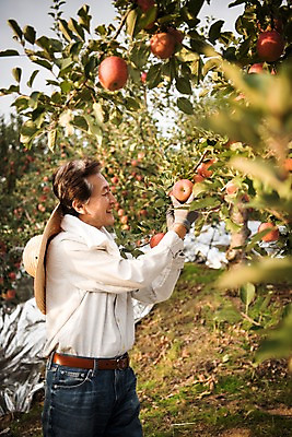 포토 JPG 주간 나무 응시 노년 남자 과일 한명 서기 웃음 상반신 야외 옆모습 아웃포커스 만지기 한국인 수확 가을 잡기 60대 사과 농부 과수원 사과나무 과일따기 안동 노인남자한명만 소상공인 국내포토 자연요소 식물 직업 1 시선 계절 뷰포인트 농업 모션 촬영기법 표정 사람 동양인 성인 경제 경상북도 상인 남자한명만 노인남자만 파일형식