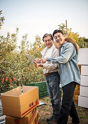 포토 JPG 주간 전신 나무 노년 남자 아들 과일 가족 서기 미소 들기 성인 야외 두명 옆모습 아웃포커스 30대 태블릿 한국인 수확 가을 가리킴 아빠 60대 사과 농부 과수원 종이상자 사과나무 사과상자 안동 부자지간 성인남자만 소상공인 국내포토 자연요소 식물 직업 계절 뷰포인트 농업 관계 모션 촬영기법 표정 사람 동양인 손짓 장년 경제 전자제품 스마트기기 상자 경상북도 상인 남자만 성인만 파일형식