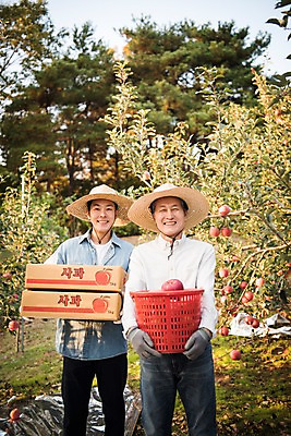 포토 JPG 주간 나무 노년 남자 아들 과일 가족 서기 웃음 들기 상반신 성인 야외 두명 앞모습 아웃포커스 30대 바구니 기쁨 한국인 수확 가을 아빠 60대 사과 농부 과수원 만족 사과나무 사과상자 안동 부자지간 성인남자만 소상공인 국내포토 자연요소 식물 직업 계절 감정 뷰포인트 농업 관계 모션 촬영기법 표정 사람 동양인 장년 경제 상자 경상북도 상인 남자만 성인만 파일형식