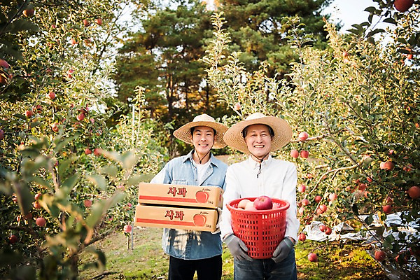 포토 JPG 주간 나무 노년 남자 아들 과일 가족 서기 웃음 들기 상반신 성인 야외 두명 앞모습 아웃포커스 30대 바구니 한국인 수확 가을 아빠 60대 사과 농부 과수원 사과나무 사과상자 안동 부자지간 성인남자만 소상공인 국내포토 자연요소 식물 직업 계절 뷰포인트 농업 관계 모션 촬영기법 표정 사람 동양인 장년 경제 상자 경상북도 상인 남자만 성인만 파일형식
