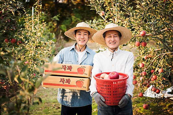 포토 JPG 주간 나무 노년 남자 아들 과일 가족 서기 웃음 들기 상반신 성인 야외 두명 앞모습 아웃포커스 30대 바구니 기쁨 한국인 수확 가을 아빠 60대 사과 농부 과수원 만족 사과나무 사과상자 안동 부자지간 성인남자만 소상공인 국내포토 자연요소 식물 직업 계절 감정 뷰포인트 농업 관계 모션 촬영기법 표정 사람 동양인 장년 경제 상자 경상북도 상인 남자만 성인만 파일형식