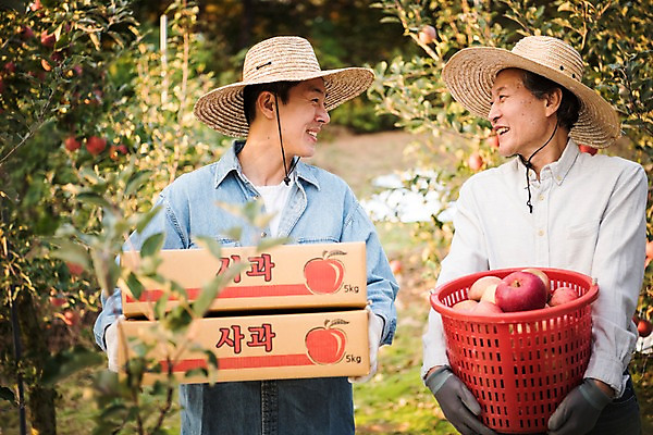 포토 JPG 주간 나무 응시 노년 남자 아들 과일 가족 서기 웃음 들기 상반신 성인 야외 두명 앞모습 아웃포커스 30대 바구니 기쁨 한국인 수확 가을 아빠 60대 사과 농부 과수원 만족 사과나무 사과상자 안동 부자지간 성인남자만 소상공인 국내포토 자연요소 식물 직업 시선 계절 감정 뷰포인트 농업 관계 모션 촬영기법 표정 사람 동양인 장년 경제 상자 경상북도 상인 남자만 성인만 파일형식