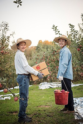 포토 JPG 주간 전신 나무 노년 남자 아들 과일 가족 서기 미소 들기 성인 야외 두명 옆모습 아웃포커스 30대 바구니 기쁨 한국인 수확 가을 아빠 60대 사과 농부 과수원 만족 사과나무 사과상자 안동 부자지간 성인남자만 소상공인 국내포토 자연요소 식물 직업 계절 감정 뷰포인트 농업 관계 모션 촬영기법 표정 사람 동양인 장년 경제 상자 경상북도 상인 남자만 성인만 파일형식