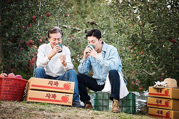 포토 JPG 주간 전신 나무 노년 남자 아들 커피 과일 가족 휴식 미소 들기 앉기 성인 야외 두명 앞모습 아웃포커스 30대 상자 한국인 수확 마시기 가을 아빠 60대 사과 농부 과수원 사과나무 사과박스 안동 부자지간 성인남자만 국내포토 자연요소 식물 직업 계절 음료 뷰포인트 컨셉 농업 관계 모션 촬영기법 표정 사람 동양인 장년 경상북도 남자만 성인만 파일형식