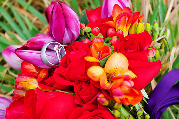 포토 JPG 해외이미지 전통 꽃 꽃다발 결혼 사람없음 빨간색 장미 튤립 결혼반지 해외202004 해외포토 식물 컬러 이벤트 반지 파일형식 이미지허브