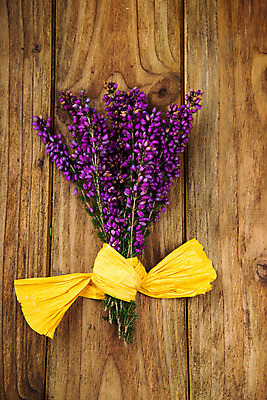 포토 JPG 해외이미지 식물 계절 꽃 분홍색 꽃다발 백그라운드 자연 탁자 사람없음 목재 장식 여름 정원 보라색 벚꽃 가을 개화 제비꽃 내추럴 해외202004 해외포토 나무 컬러 가구 재료 생태계 파일형식 이미지허브