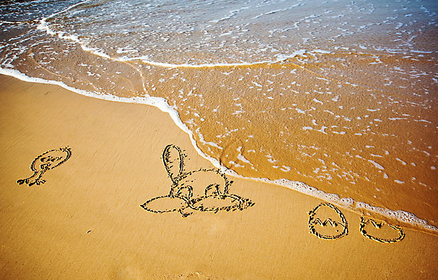 포토 JPG 해외이미지 계절 행복 모래 파도 바다 백그라운드 오렌지 태국 자연 하늘 휴가 부활절 기념 사람없음 장식 초록색 파란색 단어 바구니 우주 계란 보라색 봄 축하 편지 심볼 사인 해외202004 해외포토 문자 기념일 감정 아시아 컬러 컨셉 과일 알 생태계 파일형식 이미지허브