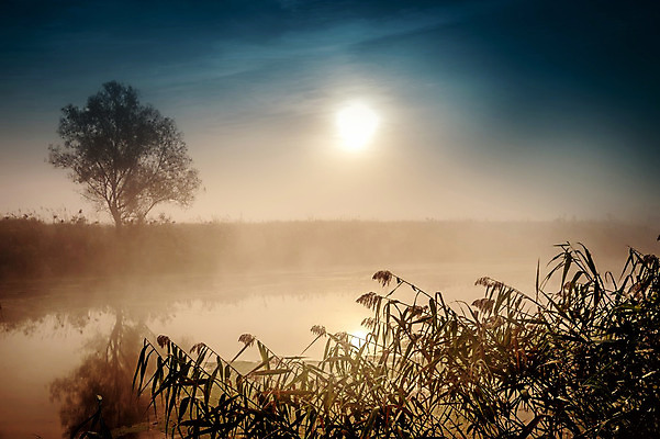 포토 JPG 해외이미지 나무 실루엣 호수 백그라운드 자연 하늘 아침 추상 풍경 사람없음 야외 물 여름 빛 강 태양 반사 일본 검은색 중국 어둠 새벽 할로윈 수확 안개 광선 달 연못 야간 소프트포커스 신비 복고 장면 후광 광 뿌연 해외202004 해외포토 주간 자연요소 식물 계절 아시아 컬러 컨셉 무늬 농업 날씨 촬영기법 생태계 파일형식 이미지허브