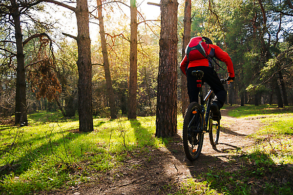 포토 JPG 해외이미지 라이프스타일 남자 여행 산 한명 안전 성인 야외 태양 자전거 승차 숲 헬멧 라이더 선로 성인남자한명만 해외202004 해외포토 자연요소 1 모션 사람 생활 바이크 보호장비 남자한명만 성인남자만 파일형식 이미지허브