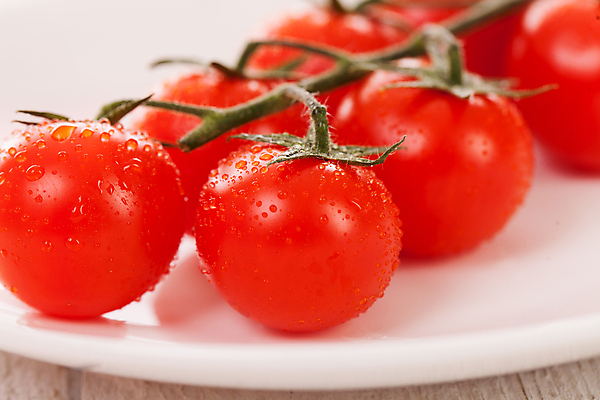 포토 JPG 해외이미지 식물 음식 줄기 백그라운드 잎 다이어트 토마토 채소 재료 자연 건강 요리 사람없음 빨간색 초록색 물 빛 정원 식사 젖음 흰색 나뭇가지 신선 체리 그룹 맛 떨어짐 작음 먹기 오브젝트 유기농 날것 내추럴 강렬 고립 채식주의자 해외202004 해외포토 자연요소 나무 웰빙 컬러 컨셉 과일 모션 크기 생태계 채식 파일형식 이미지허브