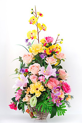 포토 JPG 해외이미지 꽃잎 꽃 분홍색 꽃다발 결혼 잎 꽃무늬 오렌지 자연 넥타이 국화 선물 사랑 사람없음 장식 빨간색 초록색 파란색 컬러풀 장미 노란색 꼬리표 바구니 꽃병 보라색 봄 벚꽃 흰색 축하 신선 그룹 난초 우아함 다발 배열 활 데이지 거베라 붓꽃 내추럴 고립 해외202004 해외포토 식물 잡화 계절 감정 컬러 컨셉 무늬 과일 이벤트 라벨 생태계 파일형식 이미지허브