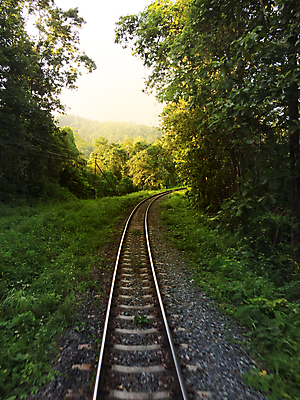 포토 JPG 해외이미지 나무 구름 산업 도로 길 선 여행 백그라운드 교통시설 자연 하늘 풍경 사람없음 야외 초록색 여름 파란색 빛 햇빛 태양 일출 맑음 황혼 일몰 기차 화물 시골 황무지 역 저녁 철 속도 장면 건너기 방법 선로 철강 해외202004 해외포토 자연요소 식물 계절 육상교통 컬러 교통 모션 날씨 대중교통 노을 운송업 야간 시설 생태계 파일형식 이미지허브