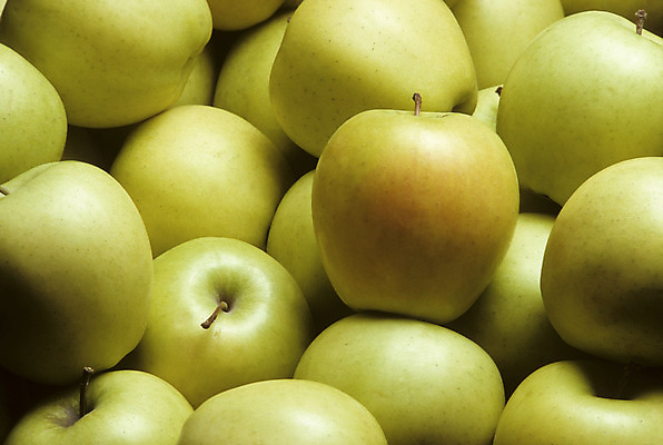 포토 JPG 해외이미지 음식 과일 사람없음 노란색 황금 사과 해외202004 해외포토 컬러 파일형식 이미지허브